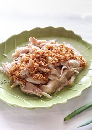 Foto resep Ayam Rebus Jahe