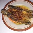 Mangut lele