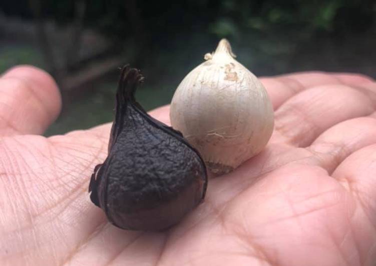 Black Garlic - bawang putih fermentasi