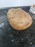 Pan de centeno