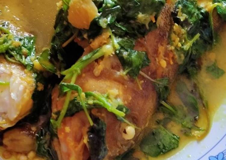 Resep Terbaru Ikan kerapu kuah kuning kemangi Enak Bergizi