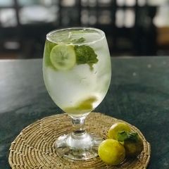 A picture of Leemo paani.