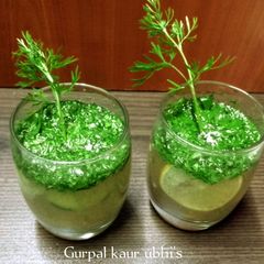 A picture of Green topaz mist sparklers.