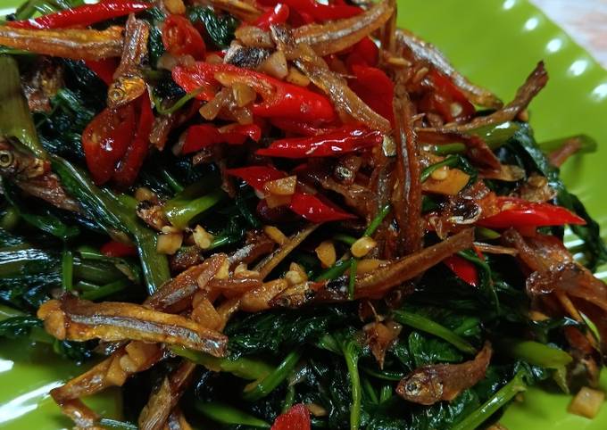 Resep Tumis Kangkung Teri Saos Tiram Oleh Jumaila Cookpad