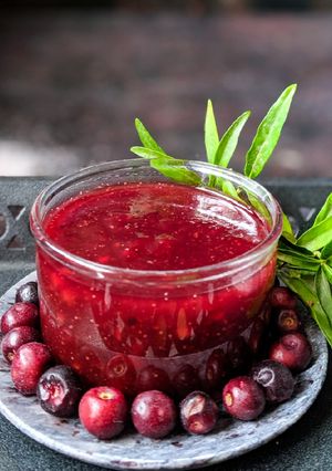A picture of Phalsa chutney.