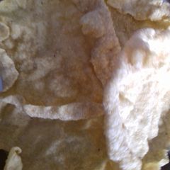 Leftover Rice Papad A picture of Leftover Rice Papad.