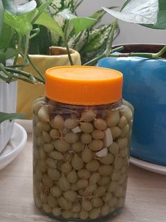 عکسی از دستور غوره شور