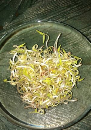 Foto principal de Brotes de soja (dientes de dragón) caseros
