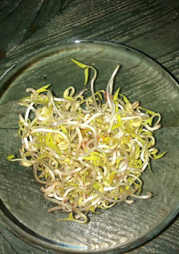 Una foto de Brotes de soja (dientes de dragón) caseros