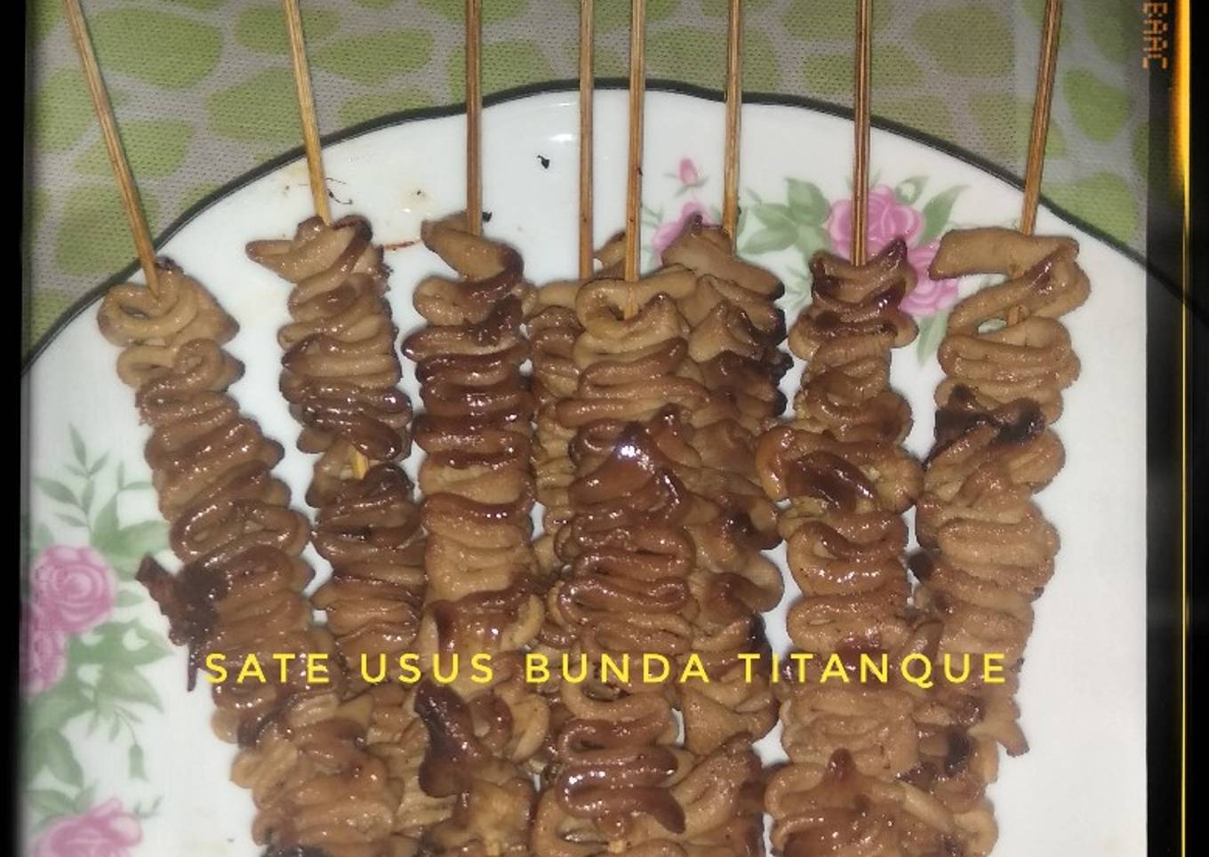 Sate Usus