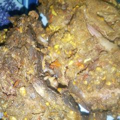 A picture of Danderu😋.
