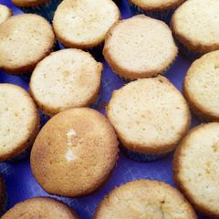 Vanilla cupcakes A picture of Vanilla cupcakes.