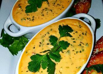 Easiest Way to Cook Yummy Mikes Spicy Southwestern Beer Cheese Dip