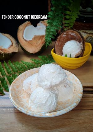 ટેન્ડર કોકોનટ આઇસક્રીમ (Tender Coconut Ice Cream Recipe In Gujarati) રેસીપી મુખ્ય ફોટો