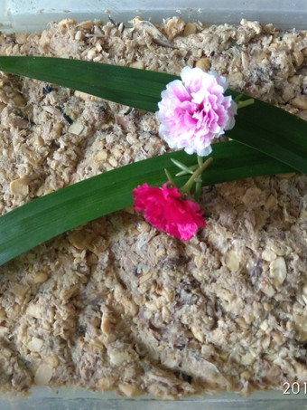 Cara Membuat Puding ikan tempe kukus (Cat Food / Kitten Food) Irit Untuk Jualan