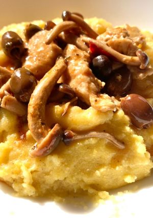 Foto di Spezzatino di pollo funghi pioppini olive e noci con polenta
