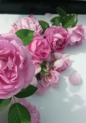 Hình của món Bột hoa hồng.