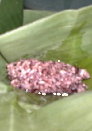 Foto resep Tape ketan hitam