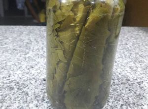 Una foto de Conserva de hojas de Parra