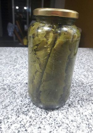 Una foto de Conserva de hojas de Parra