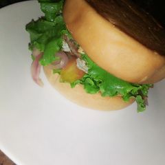 A picture of My home made burger.