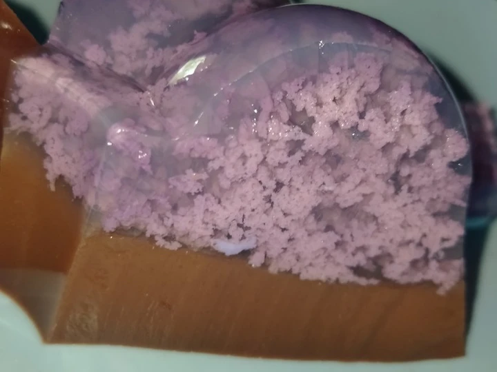 Langkah Gampang Membuat Resep Puding Lumut Lapis yang Menggugah Selera Anti Ribet, Lezat Sekali