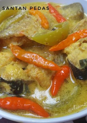 Foto resep IKAN PATIN SANTAN PEDAS (tidak amis sama sekali)