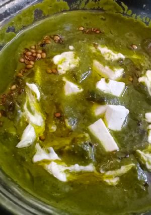 पालक पनीर (Palak Paneer Recipe in Hindi) रेसिपी मुख्य फोटो