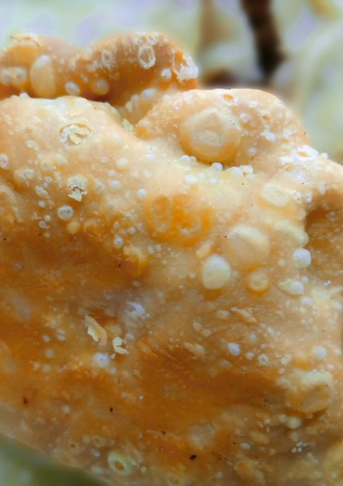 Una foto de Empanadas de carne (Mi versión)