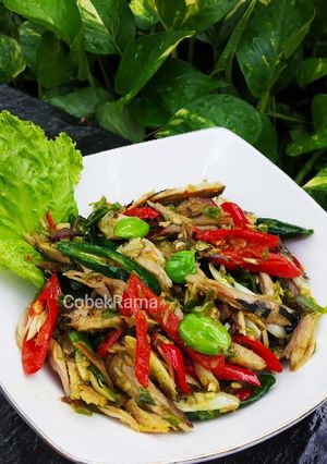 Foto resep Tongkol Suwir Pete
