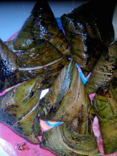 Foto resep Ayam goreng pandan thailand