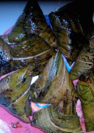 Foto resep Ayam goreng pandan thailand