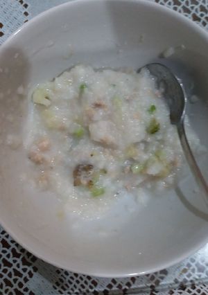 Foto resep Bubur Daging Ayam Sayur