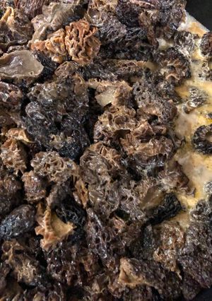 Une photo de Morilles à la crème
