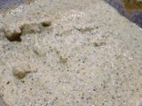 Pesto de brócoli