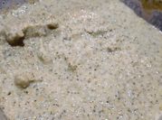 Una foto de pesto de brócoli