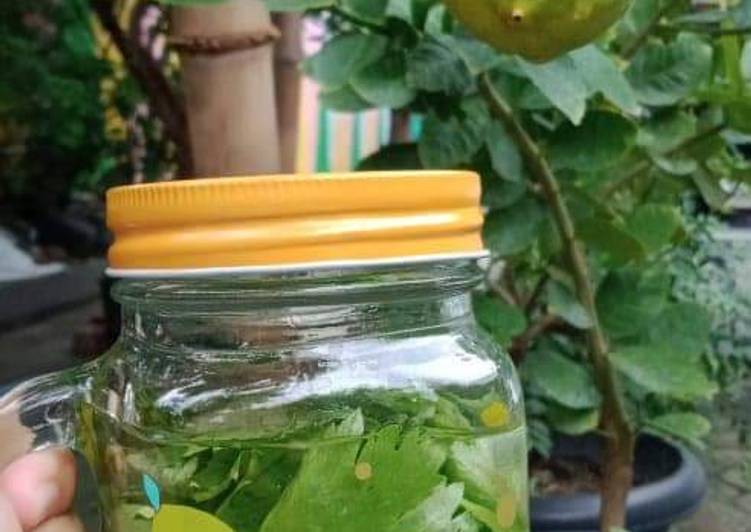 Cara masak Infused water seledri JSR  Cepat