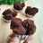 Brownies Mekar Tepung Beras (no telur, no mixer)