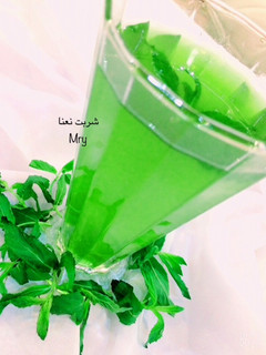 عکسی از دستور شربت نعنا