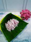 Cenil Buah Naga