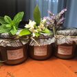 Mermelada especiada de manzanas con piel y sin azúcar añadido, al microondas