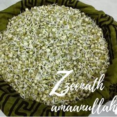 Whole Green Gram or Sabut Moong Sprouts @ Homemade A picture of Whole Green Gram or Sabut Moong Sprouts @ Homemade.