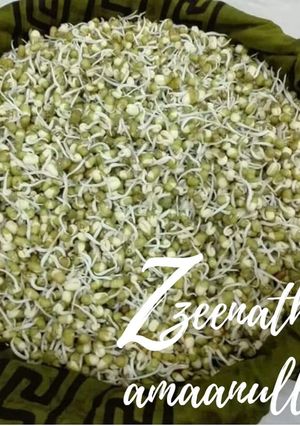 A picture of Whole Green Gram or Sabut Moong Sprouts @ Homemade.