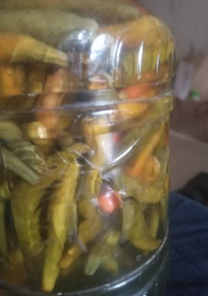 কাঁচা মরিচের আচার রেসিপির প্রধান ছবি