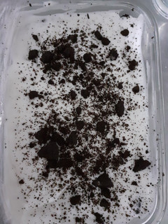Una foto de Tarta de oreo fría