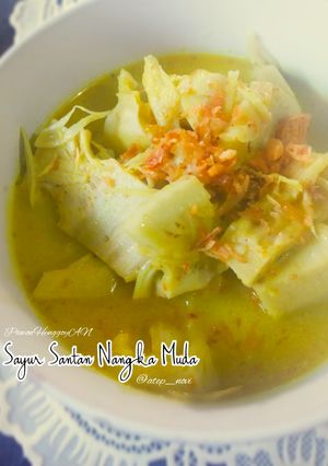 Foto resep Sayur Santan Nangka Muda