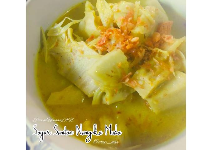 Cara Membuat Sayur Santan Nangka Muda Murah