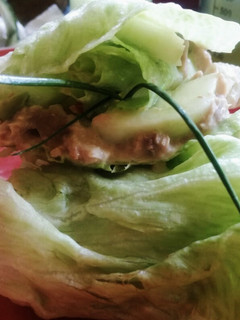 Una foto de Rollos de Lechuga