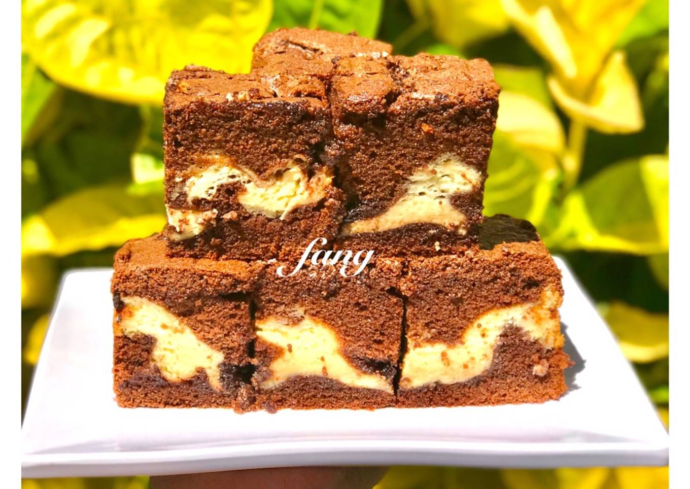 Chocolate Marble Cheese Cake