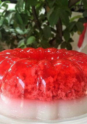 Foto resep Puding Lumut Merah Putih